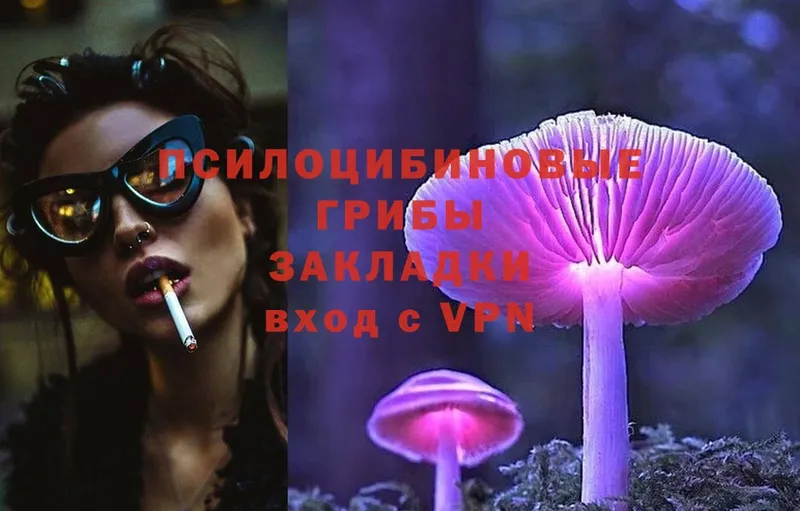 Псилоцибиновые грибы Psilocybe  где купить наркотик  Вятские Поляны 